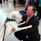 7.20.16 SPCA Therapy Dogs at the Airport12