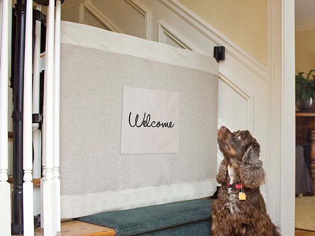 dog fence for stairs