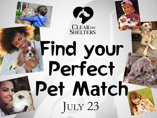 7.21.16 - Clear the Shelters 2