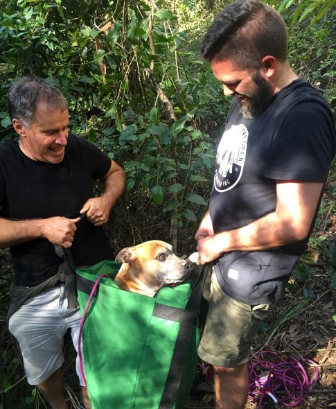 7.25.16 - Inventive Hikers Rescue Exhausted Dog10