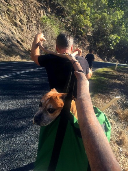 7.25.16 - Inventive Hikers Rescue Exhausted Dog15