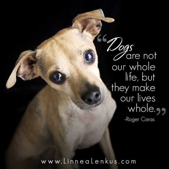 Inspirational Quote