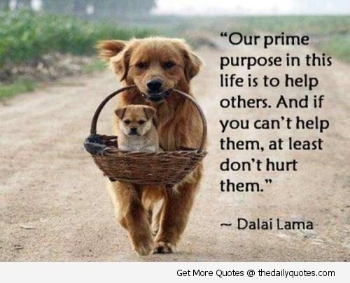 7.29.16 - quotes8