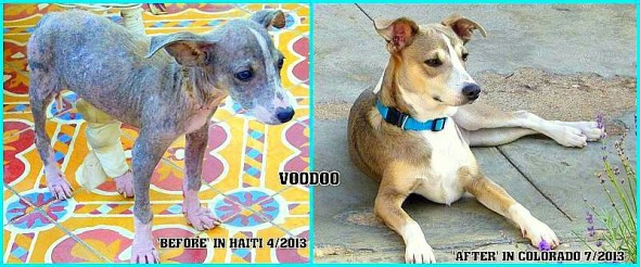 7.4.16 - Voodoo in Haiti