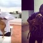 7.6.16 Dog Maliciously Launched from Roof in Viral Video Found Alive1