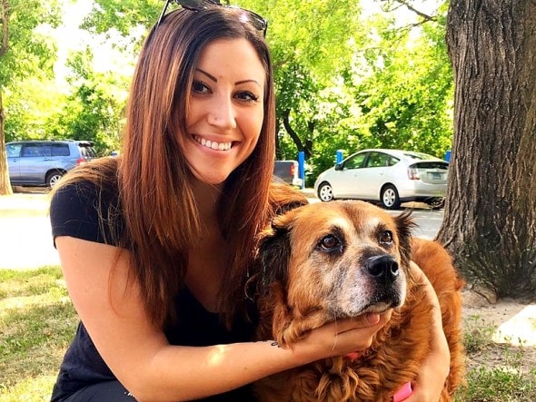 7.7.16 - Devoted Dog Who Stayed by Dead Owner Finds New Family1