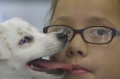 deaf girl deaf dog 2
