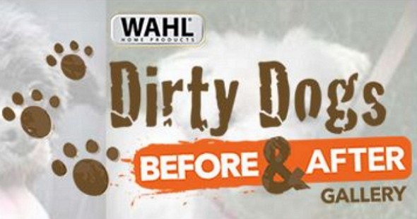 dirty dogs