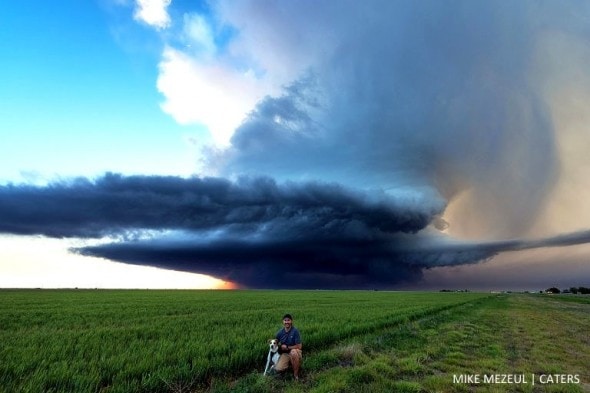 8.17.16 - Rescue Dog Is Living Her Dreams as a Storm Chaser5