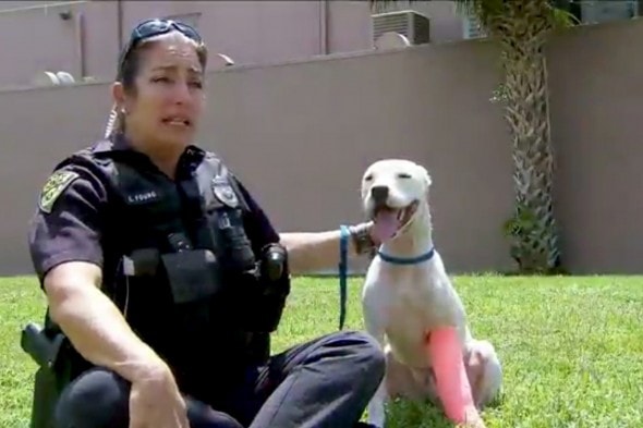 8.19.16 - Officer Young and Tango