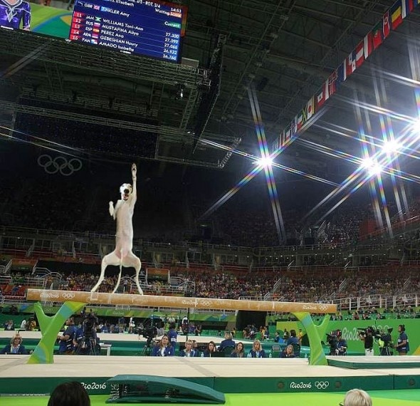 8.19.16 - Olympics10