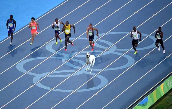 8.19.16 - Olympics6