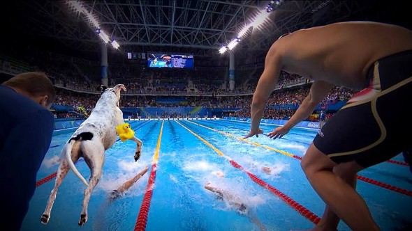 8.19.16 - Olympics8