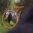8.24.16 BigfootFEAT