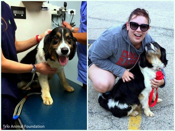 8.4.16 - Dog's Rescuer Adopts Him1