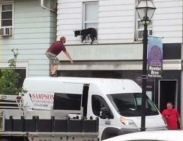 8.6.16 - roof rescue2
