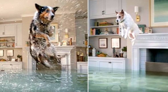 8.9.16 - Olympic Diving in Flooded House