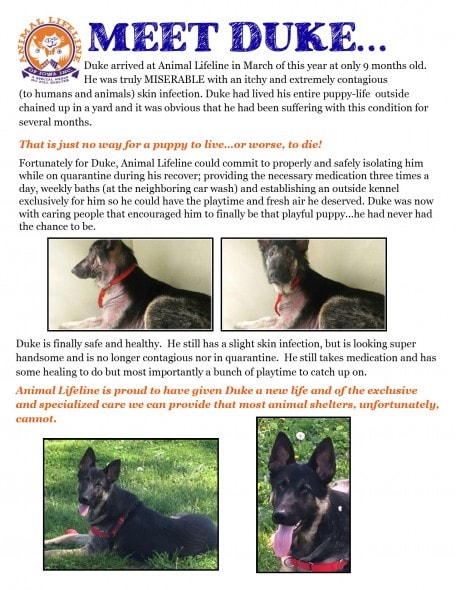 Meet Duke REVISED 060716 (1)
