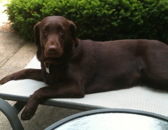 Ruby