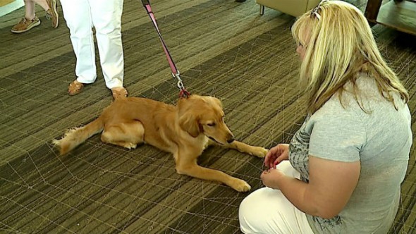 Reece is greeted at the airport. She will got to her forever home later this week. (Photo: Fox 59) 