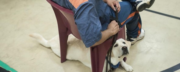 9.2.16 - VICE News Dogs in Jail2