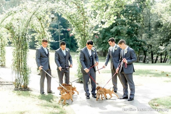 9-20-16-bridal-party-holds-rescue-puppies-instead-of-bouquets-for-their-photos2