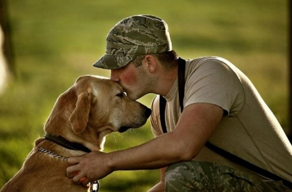 9.5.16 - PTSD dogs2