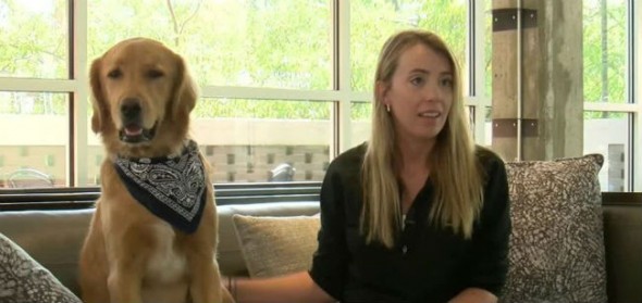 Charlie's owner, Laura, said her heart skipped a beat when  she heard the news about what her dog had ingested. 