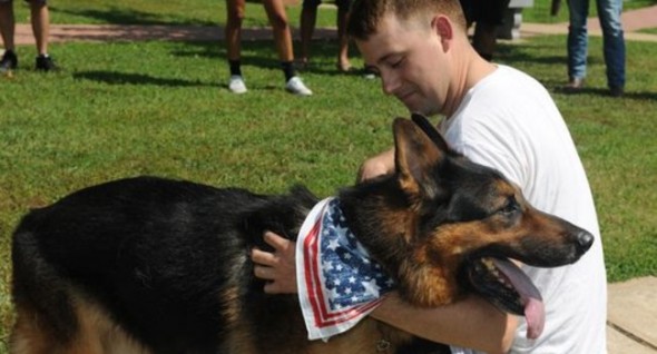 Rex will enjoy retirement with the handler he's known for most of his life. (Photo: Mike Bowers/Fort Leonard Wood) 