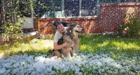 When Spunky was diagnosed with terminal cancer, Ashley's Austin community rallied and helped her make it "snow" in Texas. (Photo: Ashley Niels) 