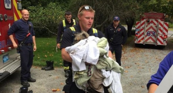 The dog was taken to a local vet for evaluation. At press time it was unknown whether someone might be looking for it.  (Photo courtesy Boxborough FD) 