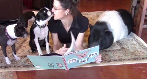 storytime