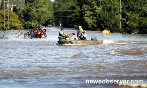 10-10-16-dogs-saved-from-hurricane-matthew-flooding4