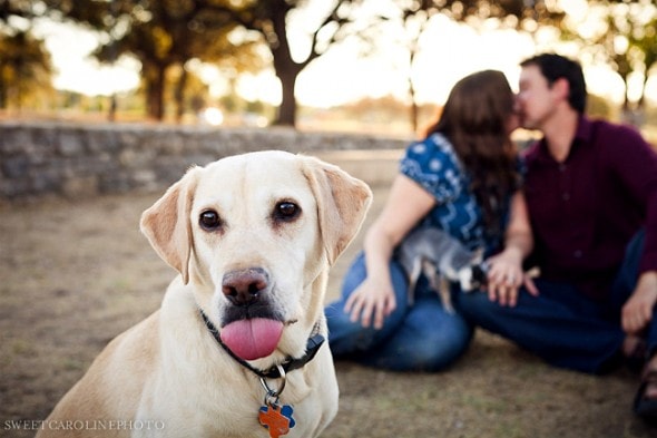 10-24-16-engagement-photos-with-the-dog6