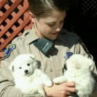 10.29.16 police pupsFEAT