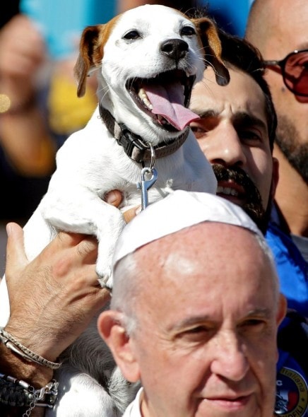 10-6-16-pope-francis-photobombed-by-the-most-jubilant-dog0