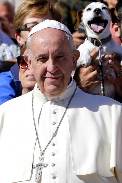 10-6-16-pope-francis-photobombed-by-the-most-jubilant-dog1