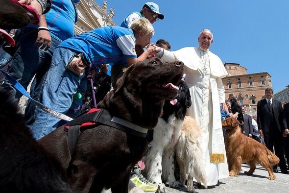 10-6-16-pope-francis-photobombed-by-the-most-jubilant-dog2