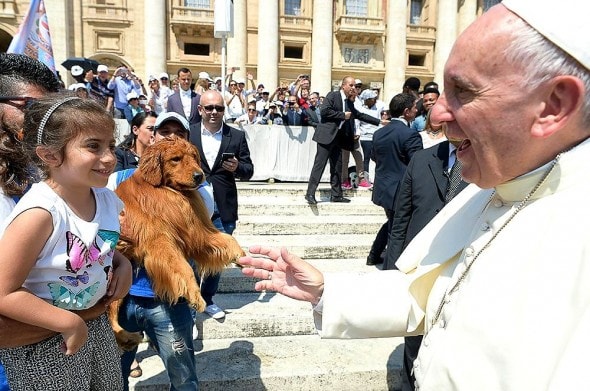 10-6-16-pope-francis-photobombed-by-the-most-jubilant-dog3