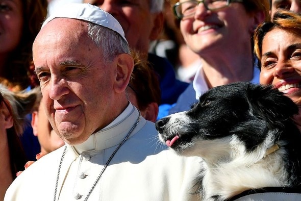 10-6-16-pope-francis-photobombed-by-the-most-jubilant-dog4