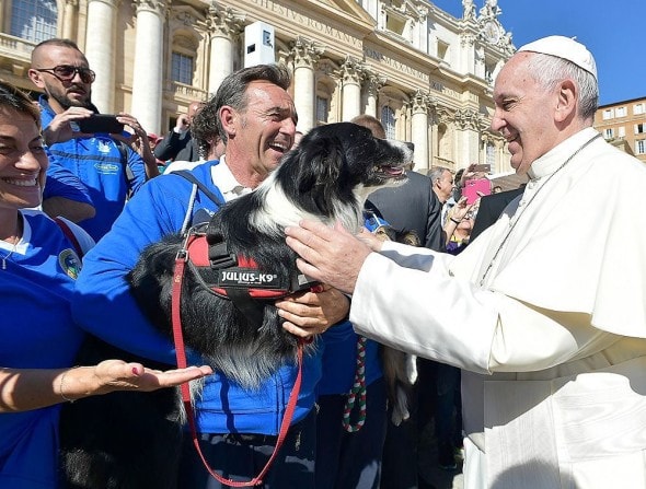 10-6-16-pope-francis-photobombed-by-the-most-jubilant-dog5