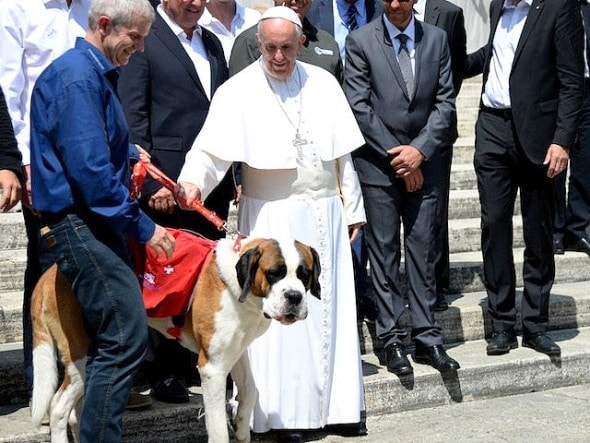 10-6-16-pope-francis-photobombed-by-the-most-jubilant-dog6