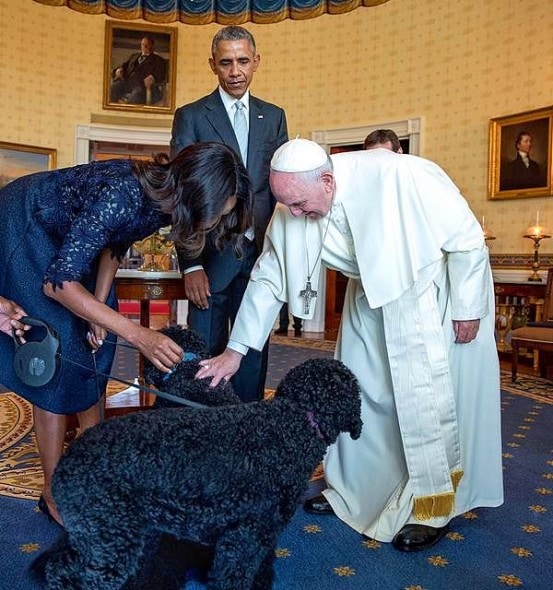 10-6-16-pope-francis-photobombed-by-the-most-jubilant-dog7