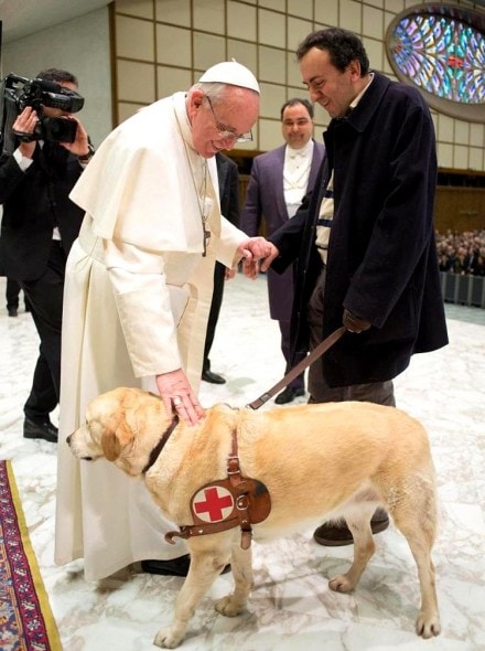 10-6-16-pope-francis-photobombed-by-the-most-jubilant-dog8