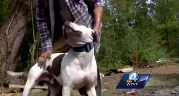 Sievers found Manse as a flea-bitten stray pup. He considers the dog "his baby."