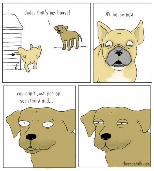 dog-4