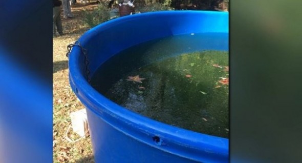 Suspected dog "training" equipment, like this filthy water tub, were among the factors leading to the arrest. Photo: Meriwether County Sheriff's Office. 
