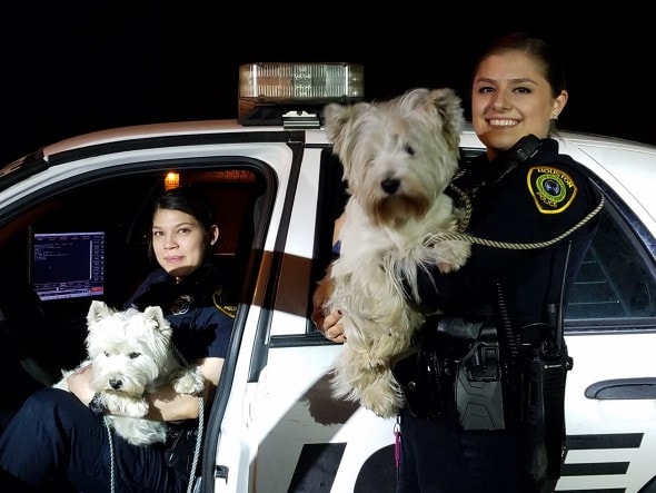 Hooray for the Houston PD! The dogs' owner credits the officers' quick action, as well as that of another good Samaritan, for saving her dogs' lives.  