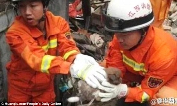 11-1-16-firefighters-save-a-mom-and-her-nine-pups-from-a-collapsed-house-in-china2