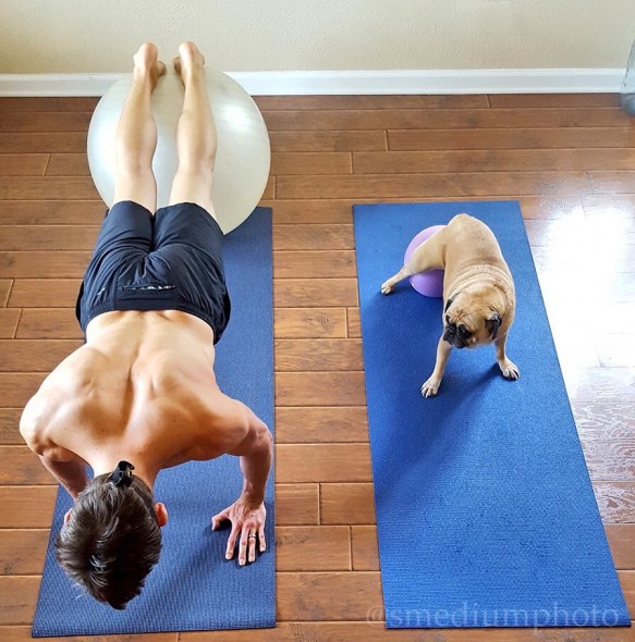 11-17-16-man-and-his-dog-do-yoga1
